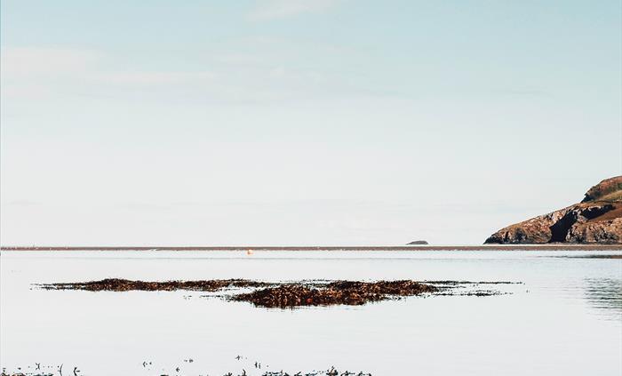 Image showing Coast & Wilds logo overlaid on a coastal scene from Newport, Pembrokeshire